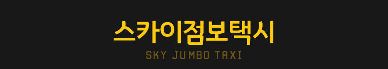 인천공항대형택시