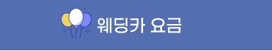 웨딩카